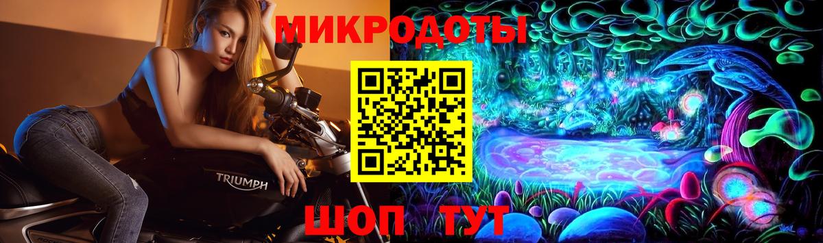 Галлюциногенные грибы Magic Shrooms  Вход с VPN  Псилоцибиновые грибы Psilocybine cubensis  Магадан 